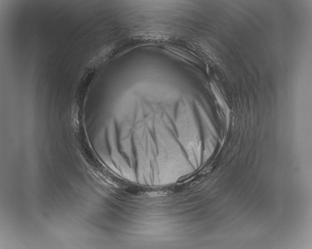 X0000068820692200606021617