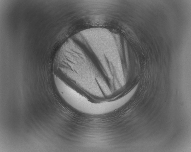 X0000068820697200606021617