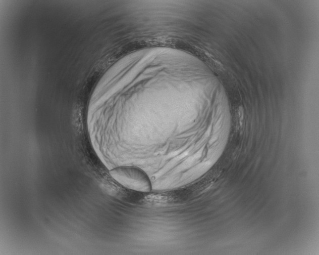 X0000068820699200606021617