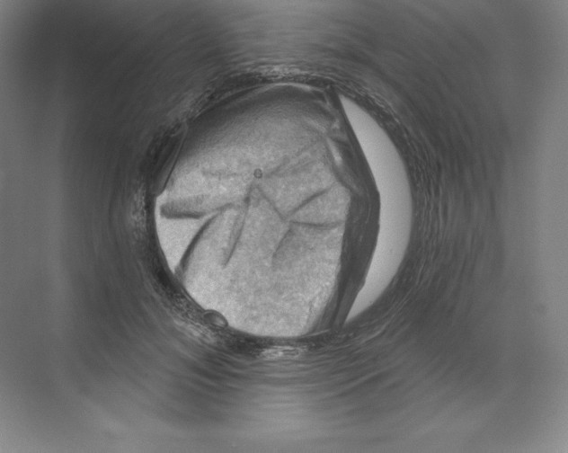 X0000068820700200606021617