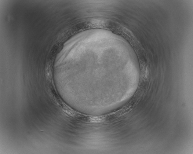 X0000068820701200606021617