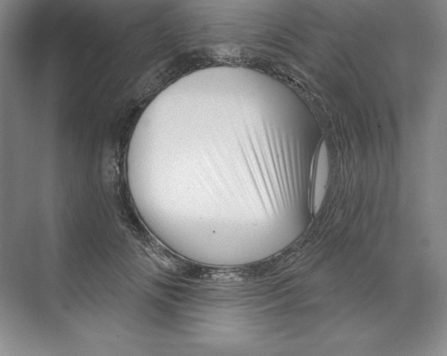 X0000068820702200606021617