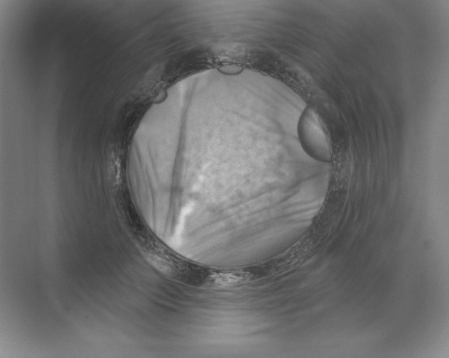 X0000068820703200606021617