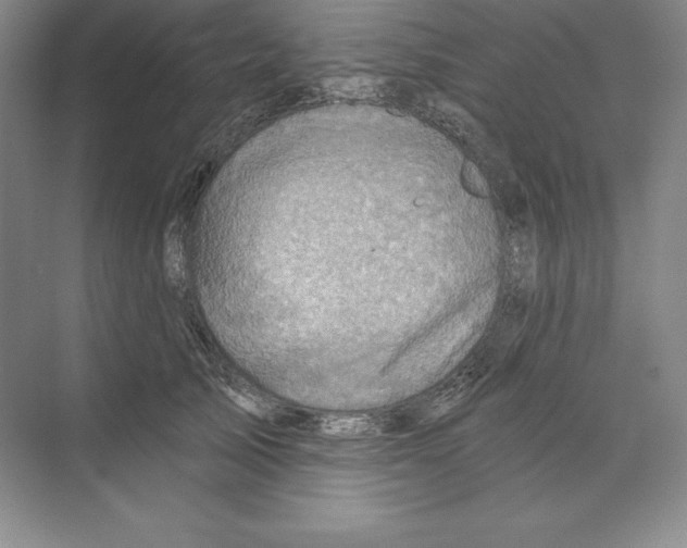 X0000068820705200606021617