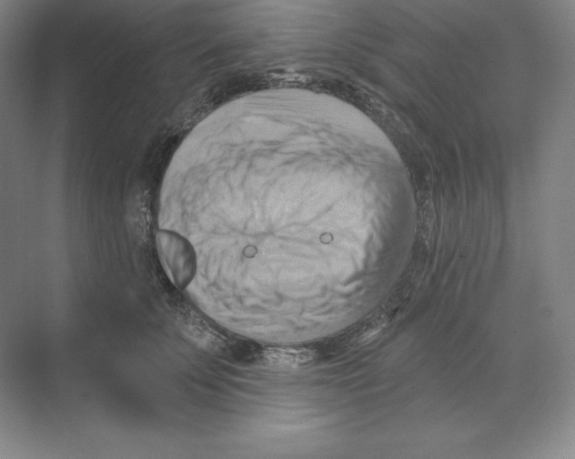X0000068820707200606021617