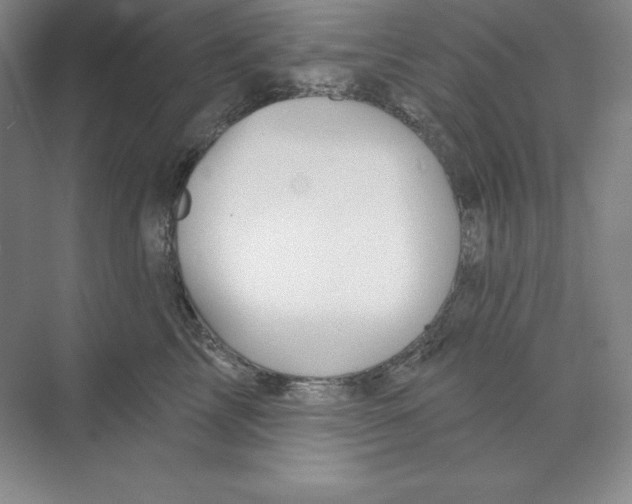 X0000068820713200606021617