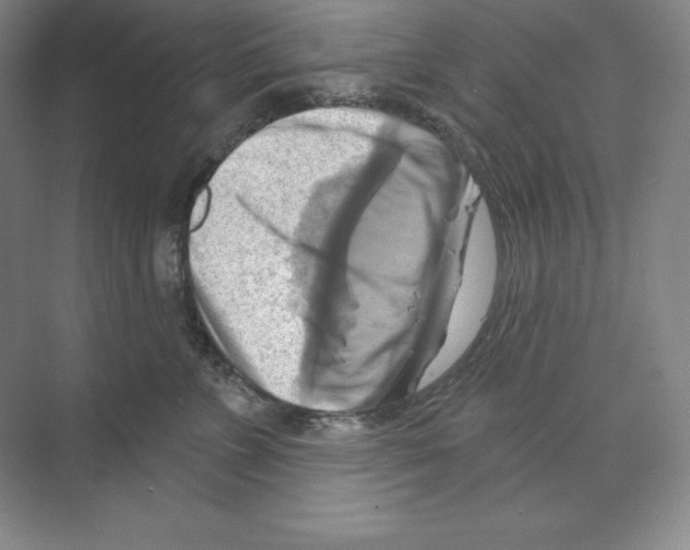 X0000068820715200606021617