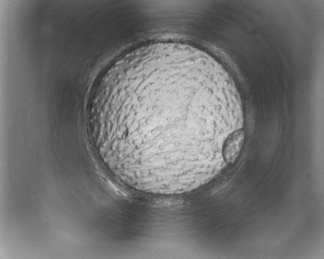 X0000068820721200606021616