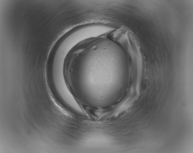 X0000068820726200606021616