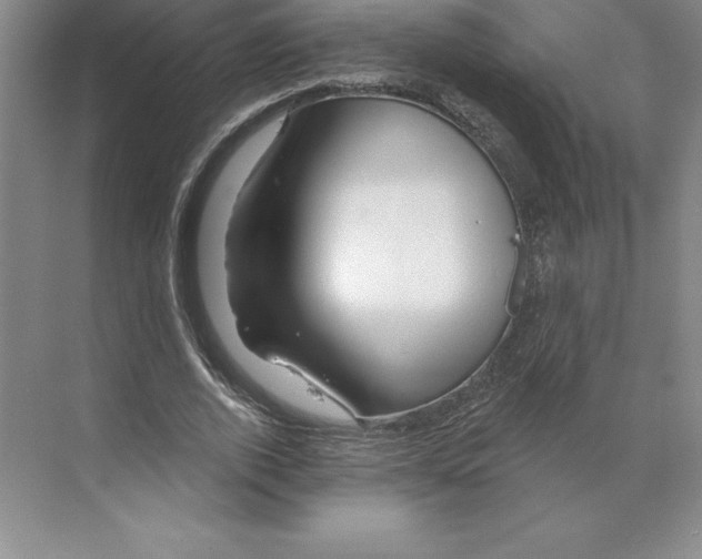 X0000068820728200606021616