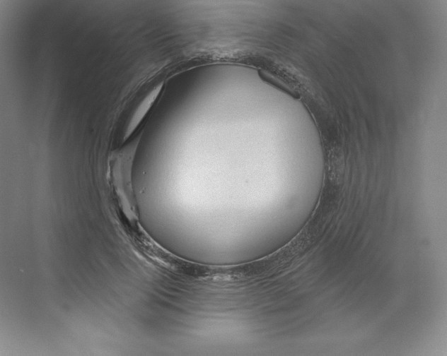 X0000068820740200606021616
