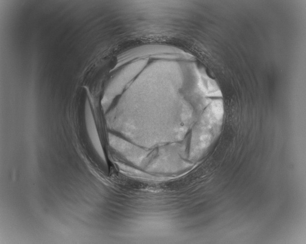 X0000068820742200606021616