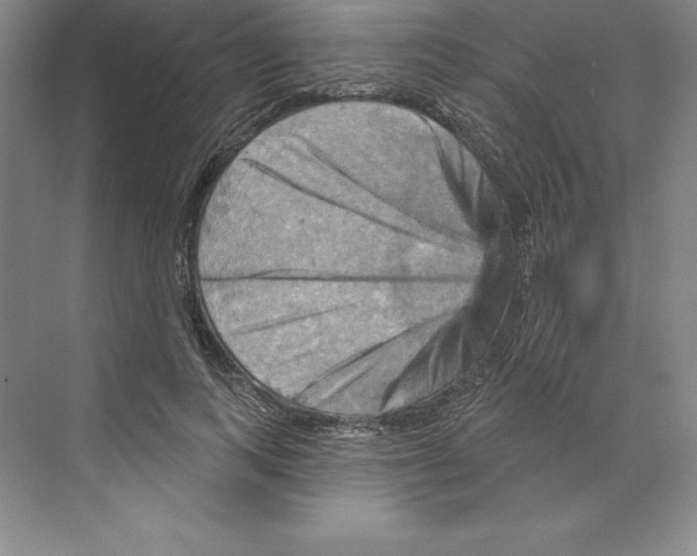 X0000068820743200606021616