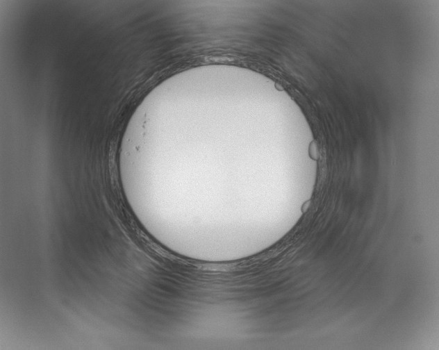 X0000068820747200606021616