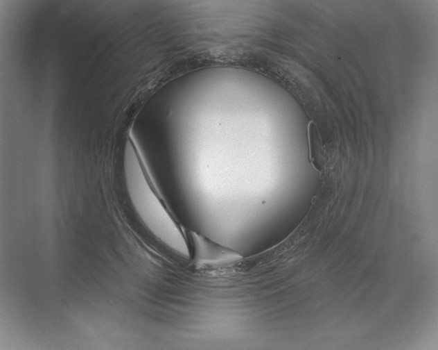 X0000068820752200606021616