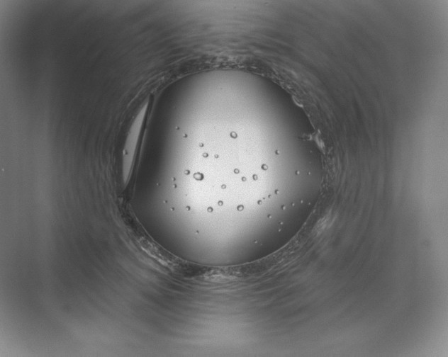 X0000068820756200606021617