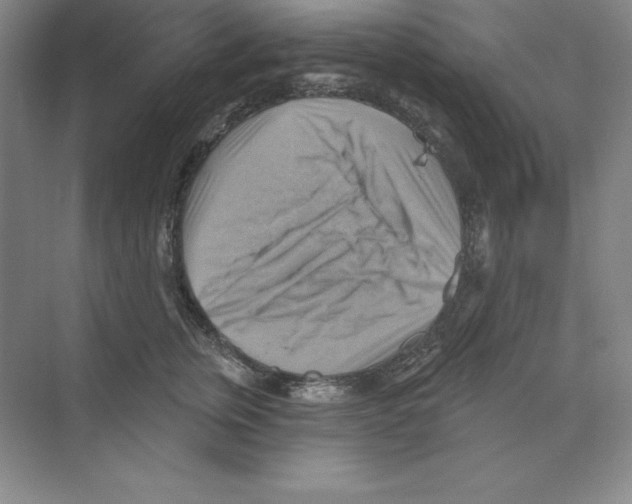 X0000068820759200606021617