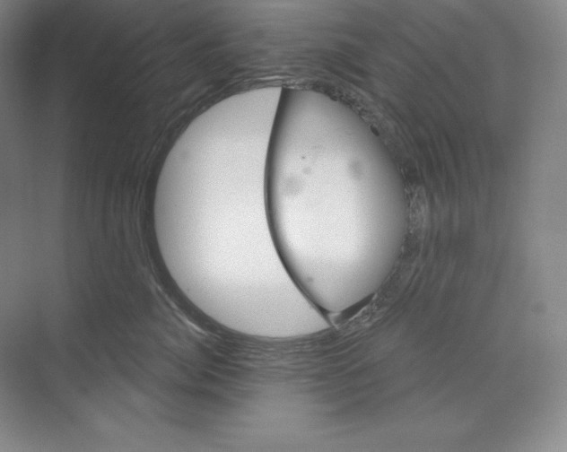 X0000068820764200606021617