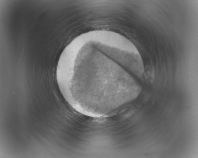 X0000068820767200606021617