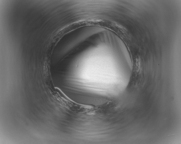 X0000068820773200606021616