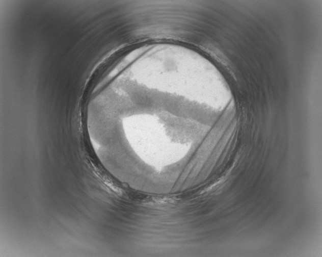 X0000068820782200606021616