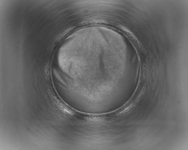 X0000068820785200606021616