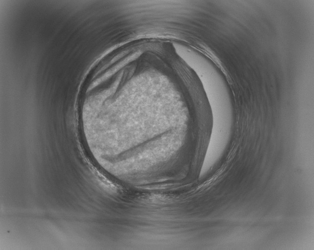 X0000068820787200606021616