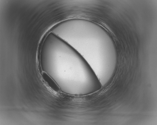 X0000068820788200606021616