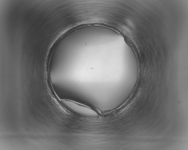 X0000068820789200606021616