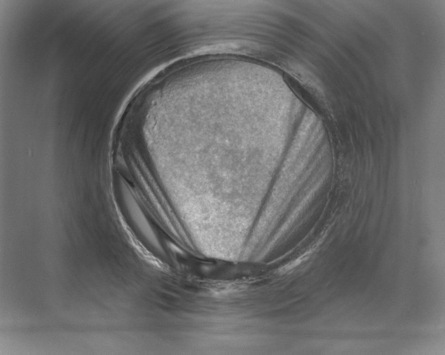 X0000068820792200606021616