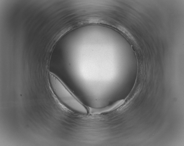 X0000068820801200606021615