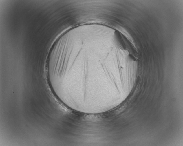 X0000068820806200606021615