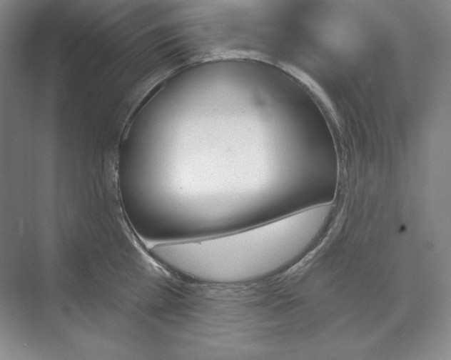 X0000068820809200606021615