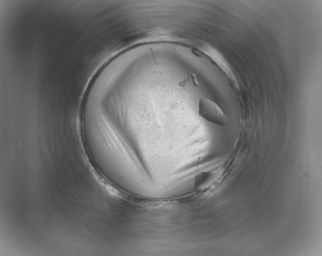 X0000068820813200606021615