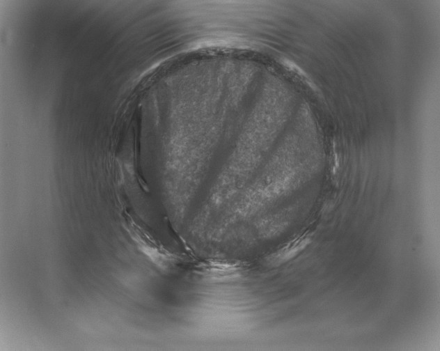 X0000068820822200606021614