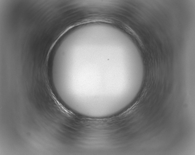 X0000068820828200606021614