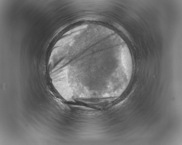 X0000068820829200606021615