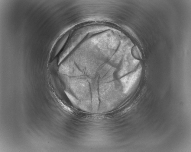 X0000068820831200606021615