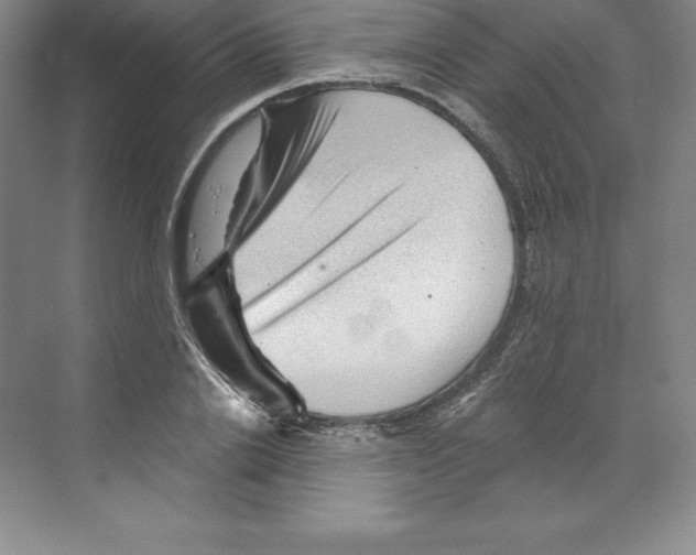 X0000068820838200606021615