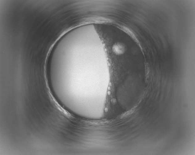 X0000068820843200606021615