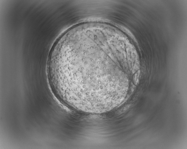 X0000068820847200606021615
