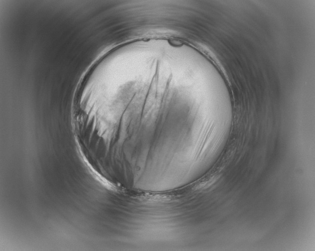 X0000068820851200606021615