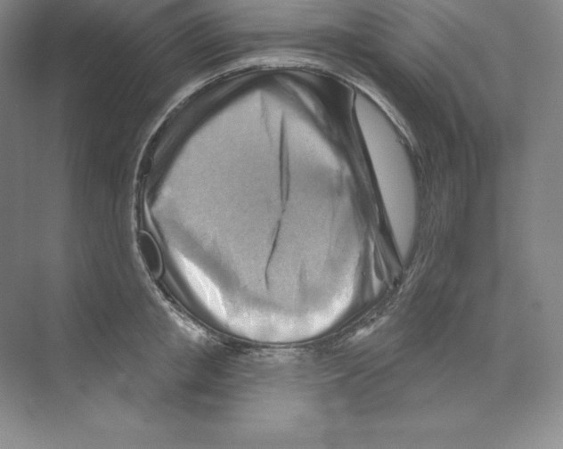 X0000068820853200606021615