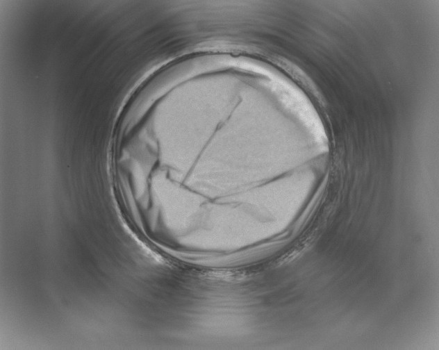 X0000068820855200606021615