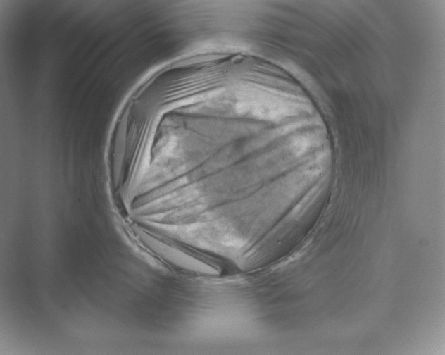 X0000068820864200606021615