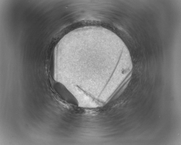 X0000068820870200606021614