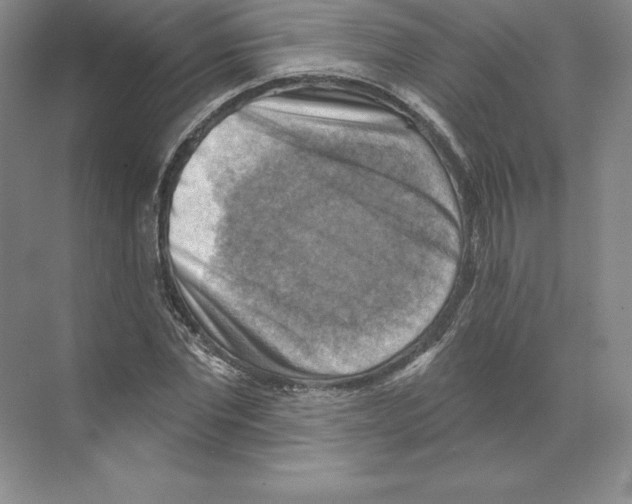 X0000068820877200606021614