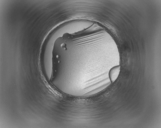 X0000068820880200606021614
