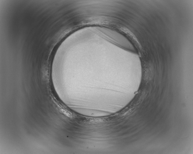 X0000068820882200606021614