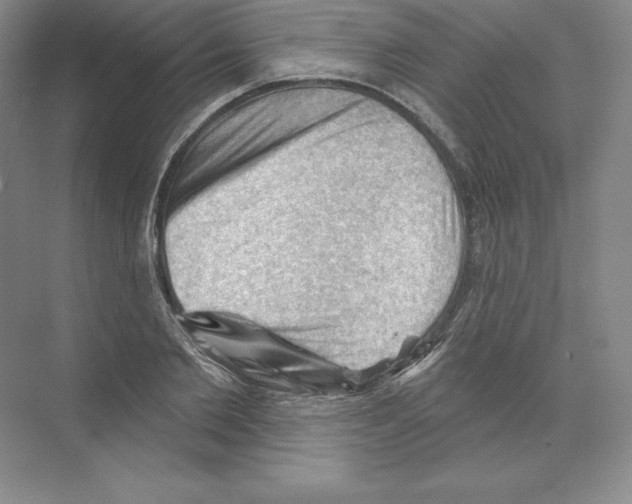 X0000068820885200606021614